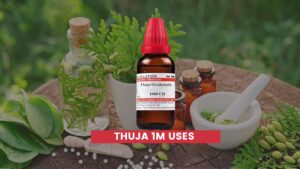 Thuja 1m Uses In Hindi